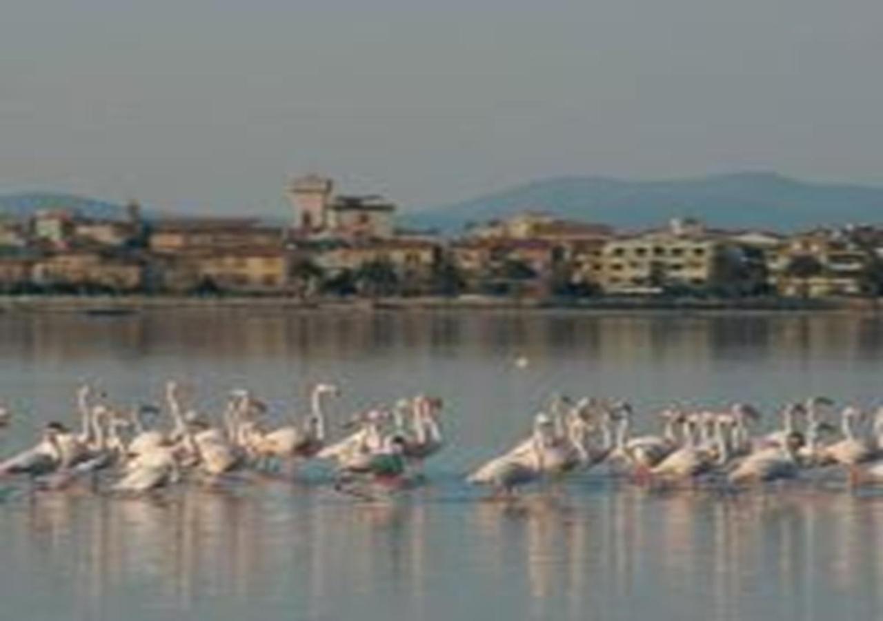 App - Il Fenicottero Con Parcheggio Gratuito Ad Orbetello Exterior foto